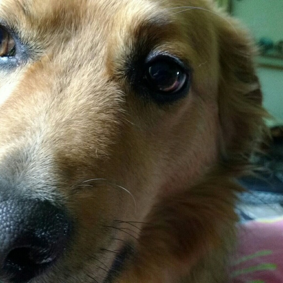 Hey y'all. I'm Katy. - Picture 3 of 6